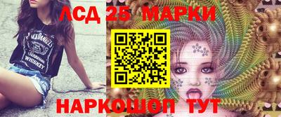 шишки Заволжье