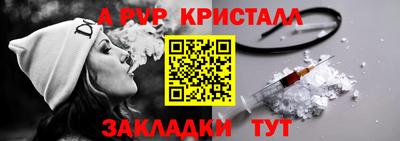 шишки Заволжье