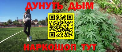 шишки Заволжье