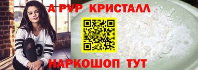шишки Заволжье